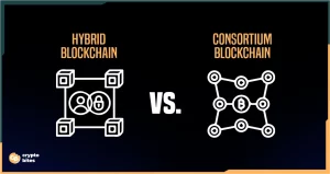 Hybrid Blockchain Vs Consortium Blockchain