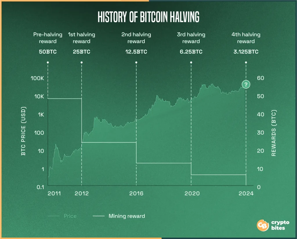 history of bitcoin halving