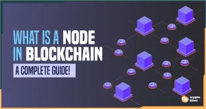 What is a Node in Blockchain
